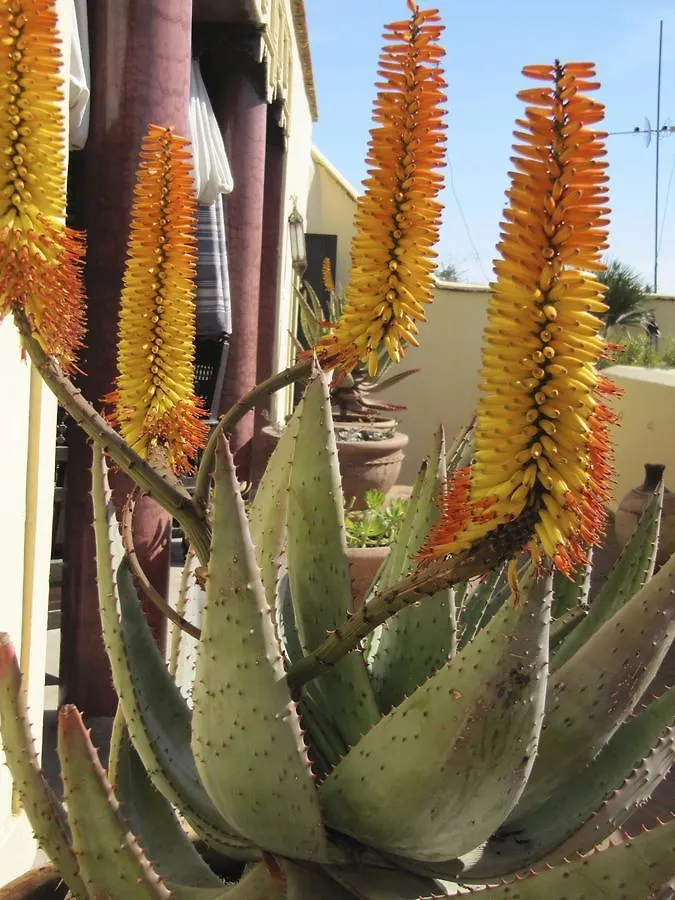**  מרקש Riad Azzar מרוקו
